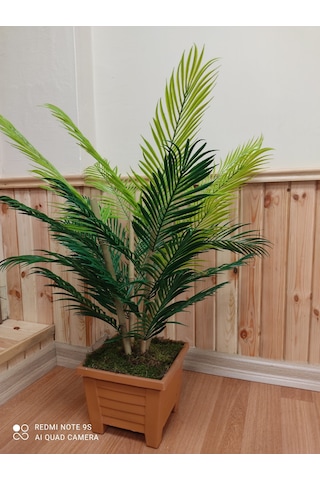 Areka 4 Bambu Gövdeli Palmiye Ağacı Kare Saksıda