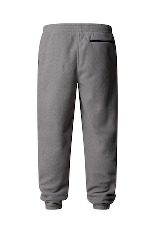 The North Face M Glacıer Fleece Pant Erkek Pantolon Nf0a8d0tcqı1 Gri
