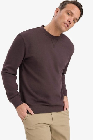 Defacto %100 Pamuk Regular Fit Bisiklet Yaka Sweatshirt E8339ax25aubn596 Kahve