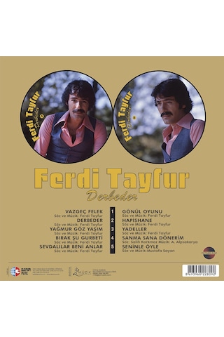 Ferdi Tayfur - Derbeder Picture Plak