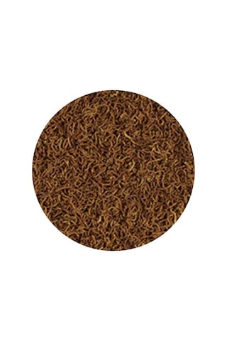Tropical Fd Bloodworms Kan Kurdu 250ml 17gr