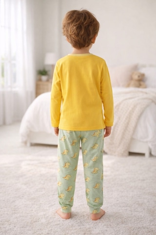 Aden Kids Pamuk Çocuk Uzun Kollu İnce Pijama Takımı Yeşil