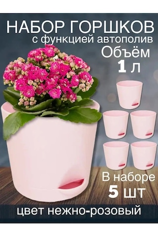 Interm Kaktüsler, Menekşeler Ve Sukulentler İçin Saksı, Otomatik Sulama Sistemi 133195521