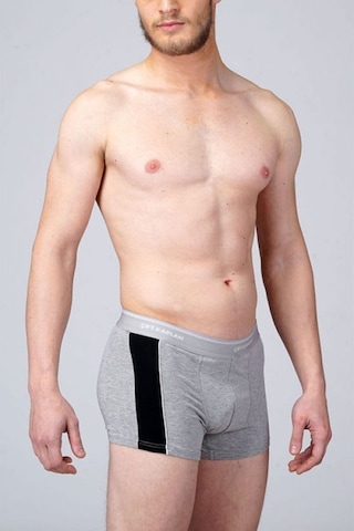 3 Adet Çift Kaplan 850 Biyeli Elastan Sportif Boxer Külot Gri