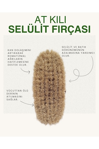Selülit Önleyici At Kılı Fırçası