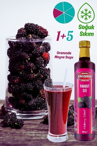 Doğal Ve Katkısız Karadut Özü 680g