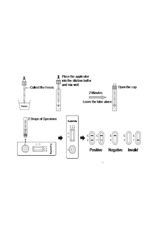 Helicobacter Pylori Testi Helikobakter Pilori Midde Sağlığı Test