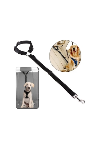 Araç İçi Kedi Köpek Emniyet Kemeri