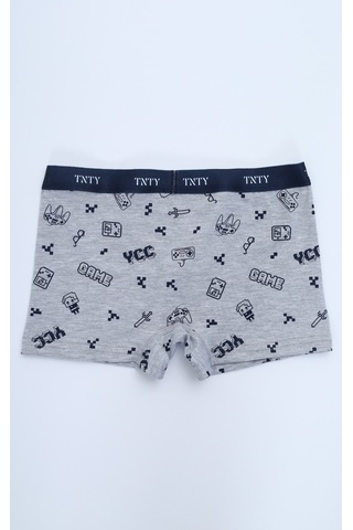 Toontoy Kids Toontoy Erkek Çocuk Çok Desenli 4lü Paket Boxer Çok Renkli