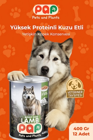 Pets And Plants Yüksek Proteinli Kuzu Etli Yetişkin Köpek Konservesi 12 x 400 G