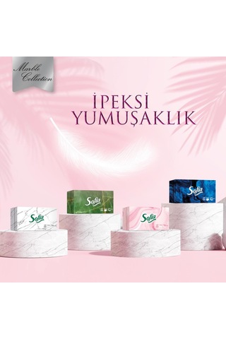 Sofia Kutu Mendil 100 Yaprak 24 Paket