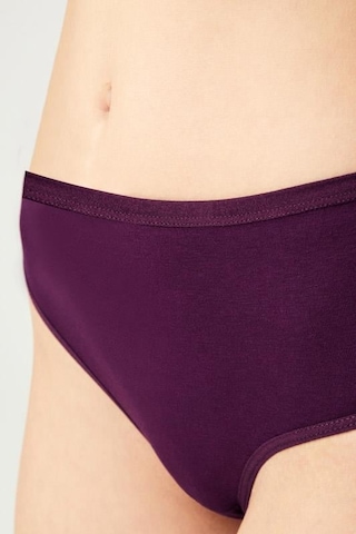 Basic Klasik Pamuklu Geniş Kenarlı Bato Külot 3'lü Paket Çok Renkli 4 Çok Renkli