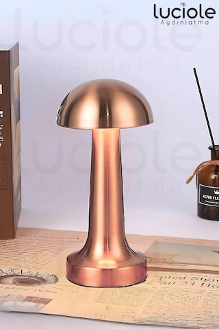 Ct-8430 Mantar Rose Şarjlı Dokunmatik 3 Renk Ayarlanabilir Masa Lambası Diğer