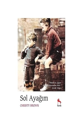 Sol Ayağım + Beyaz Diş: Modern Klasikler Dizisi - 10 + Olağanüstü Bir Gece: Modern Klasikler Serisi + 21 Kitap