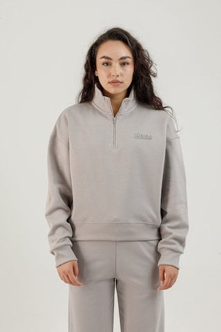 Airlife Bolder Fz.7 Yarım Fermuarlı Kadın Dik Yaka Sweatshirt Gri