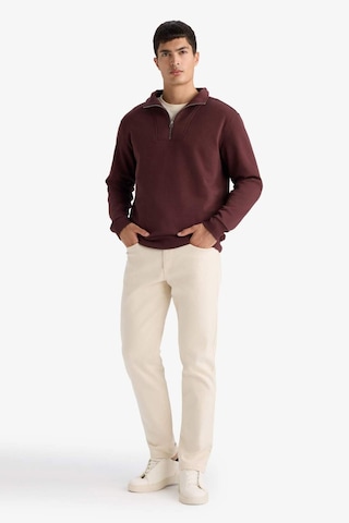 Defacto Regular Fit Yarım Balıkçı Yaka Fermuarlı Kalın Sweatshirt F4136ax25aubr230 Bordo