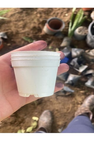 Katı Plastik Sukulent Saksısı 15 Adet Beyaz 5.5 Cm