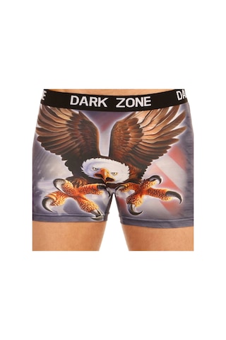 Darkzone Kartal Desenli 3D Erkek Boxer - Dzn1013 Çok Renkli