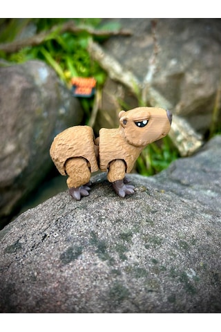 Kapibara Oyuncak 3d Hareketli Organik Vip Model Orta Boy