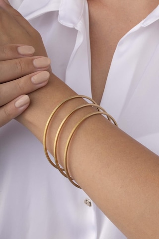 Gümüş Pazarım Mat Görünüm Üçlü Ajda Kadın Çelik Bilezik Renkli