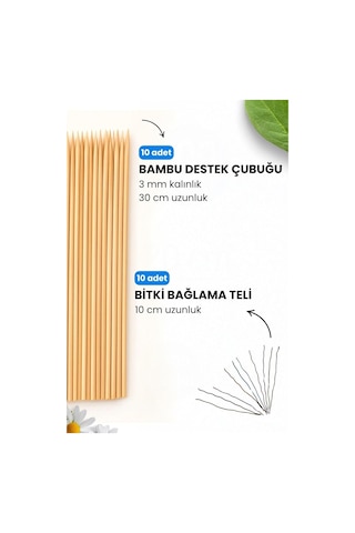 Depolife Bitki Fidan Saksı Destek Kazığı 10 Adet 30cm Bambu Destek Çubuğu Seti