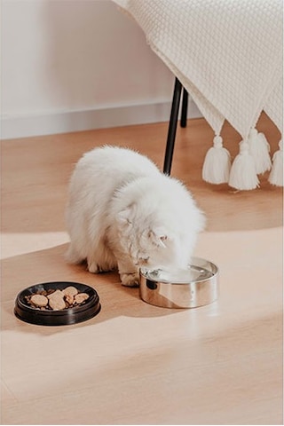 Pawgether Bowl 2 Kedi Ve Küçük Irk Köpek Çelik Mama Ve Su Kabı 400 Ml 277-51001.01