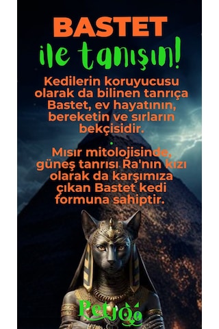Petjoo 1.Bastet Yeşil-Turuncu Qr'lı Kedi Künyesi