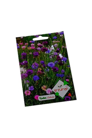 Arzuman Süs Bitki Kontur Çiçek Tohumu