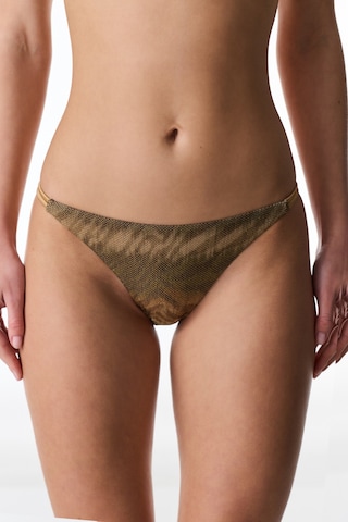 Penti Renkli Destini Side Bikini Altı