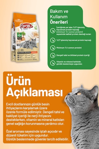 Energy Somonlu Kısırlaştırılmış Kedi Maması - 15 Kg