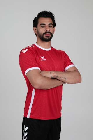 Hummel Dream Antrenman Tişörtü Kırmızı - M Çok Renkli