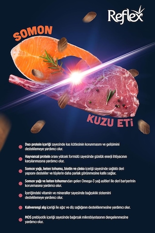 Tr Duo Protein Somonlu Ve Kuzu Etli Orta Ve Büyük Irk Yetişkin Köpek Maması 10 Kg