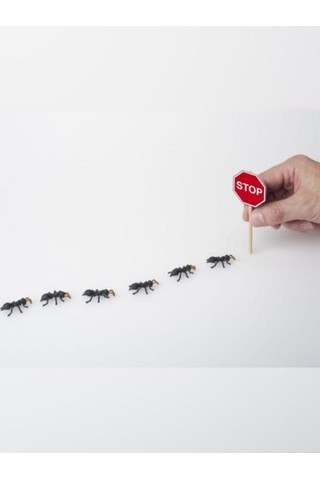 Karınca Ve Haşere Kovucu İlaç 5 Litre