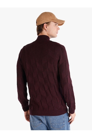 Colin's Colins Regular Fit Balıkçı Yaka Mor Erkek Kazak Cl1065745 Mor