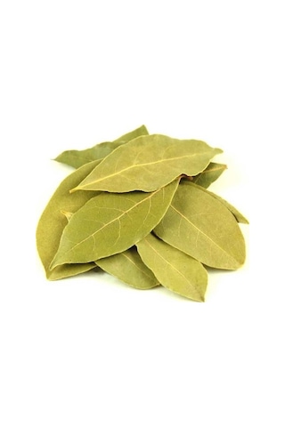 Defne Yaprağı 100 G Defne Yaprağı 100 G