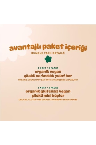 Organik Vegan Çilekli Atıştırmalık Paketi - 6 Adet 2 Çeşit 170 G