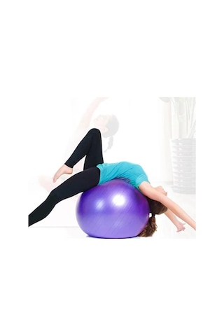 River World Pilates Topu 60 Cm Çok Renkli