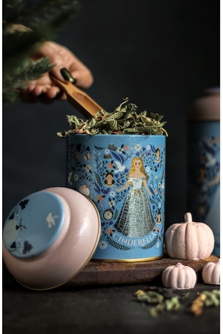 Fairytale Cinderella Desenli Yuvarlak Metal Saklama Kabı, 9 X 11 Cm, 0,6 Lt Desenli