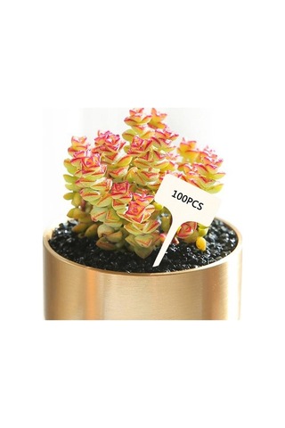 Trendooze Homyl 50 Adet T-şekilli Bitki Etiketi, Saksı Ekici