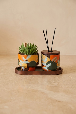 Giselle Autumn Leaves Candle & Succulent Set Çok Renkli Giselle Autumn Leaves Candle & Succulent Set Çok Renkli