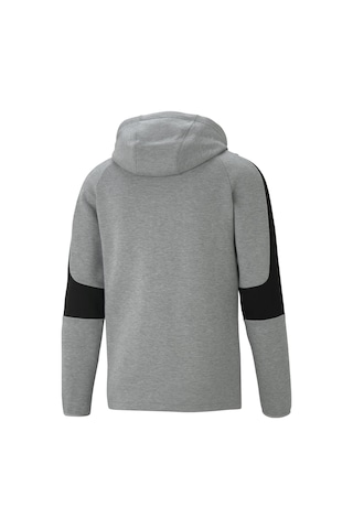 Puma Evostripe Core Fz Hoodie Erkek Ceket-gri