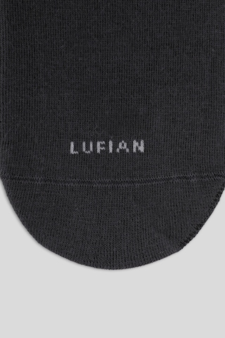 Lufian Poles Erkek Çorap Antrasit Antrasit 111260132100110 Antrasit