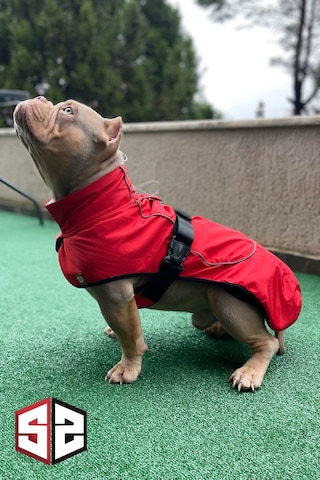 Salya Store Büyük Ve Orta Irk Su Geçirmez Köpek Montu Bkm-101