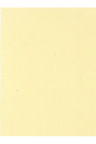 Wagner Boya Innenfarbe Silikonlu Iç Cephe Boyası 7,5 Lt