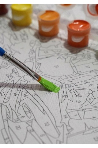 Sayılarla Boyama Tuval Seti 40x50 Cm - Harry Potter