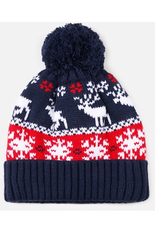 Colins Çok Renkli Erkek Bere