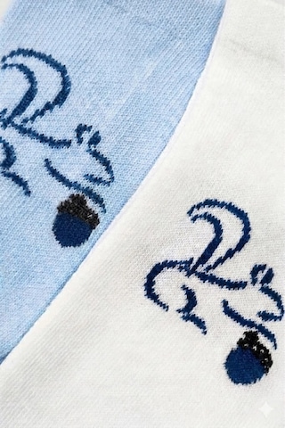 Cocole Socks Erkek Çocuk Patik Çorabı 2 Li Set Beyaz & Mavi Sincap Desenli Çok Renkli