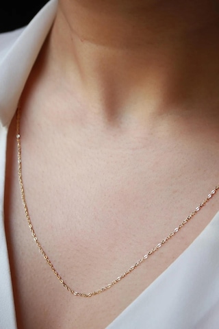 Diamine 14 Ayar Altın Kalın Aynalı Forse Zincir Kolye