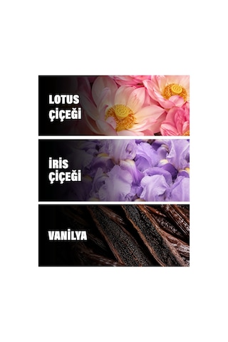 La Belle Paradıse Garden 50 Ml Kadın Parfüm Çiçeksi