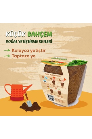 Küçük Bahçem Roka Tohumu Yetiştirme Seti